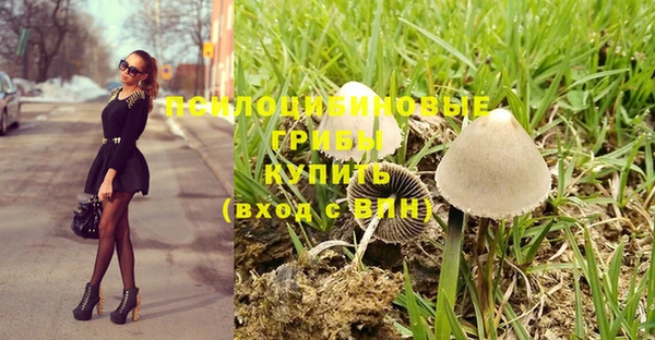 бошки Бронницы
