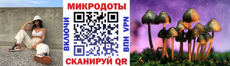 Купить закладки  Магас  Галлюциногенные грибы ЛСД 